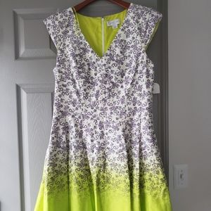 jessica Simpson neon ombre dress